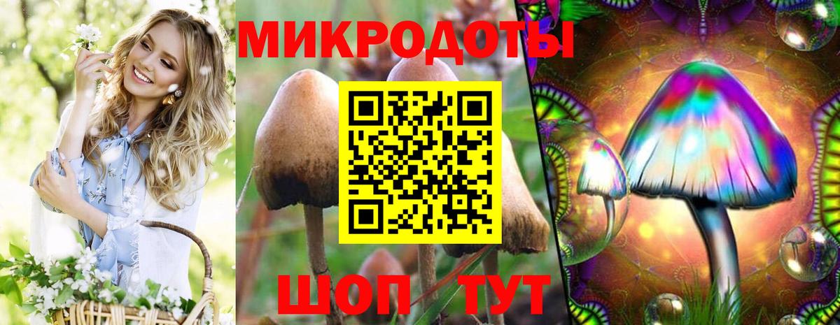 Галлюциногенные грибы мицелий Михайловск